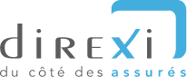 logo Direxi, redirection page d'accueil